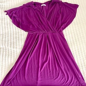 Calvin Klein Flutter Sleeve Dress Size 6